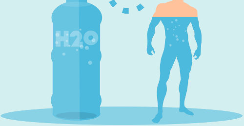 rola H2O w organizmie człowieka
