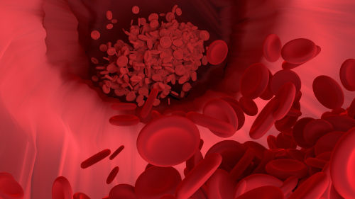 rola fe w organizmie w tworzeniu krwinek czerwonych